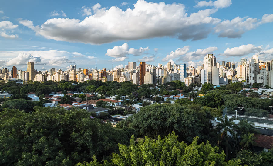 Vista aérea de São Paulo com árvores e prédios