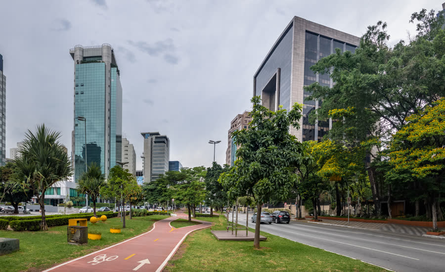 Avenida arborizada com ciclovia em São Paulo